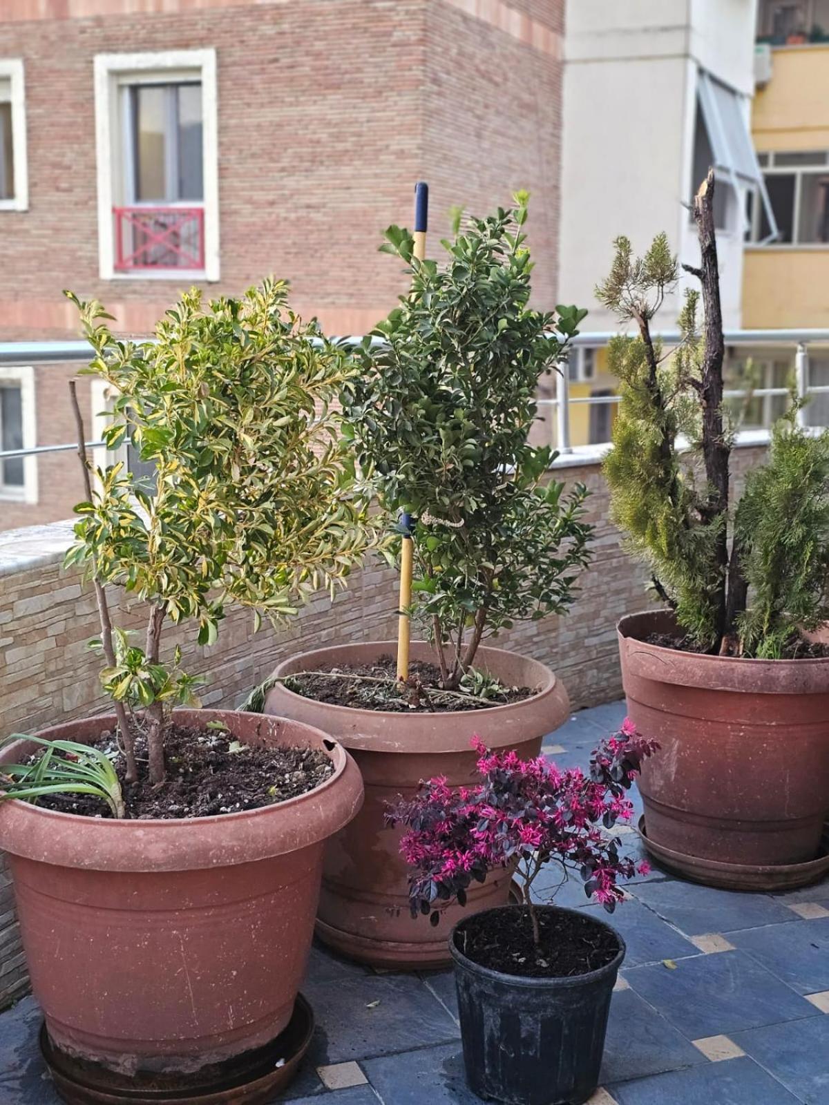 Main Apartment 地拉那 外观 照片