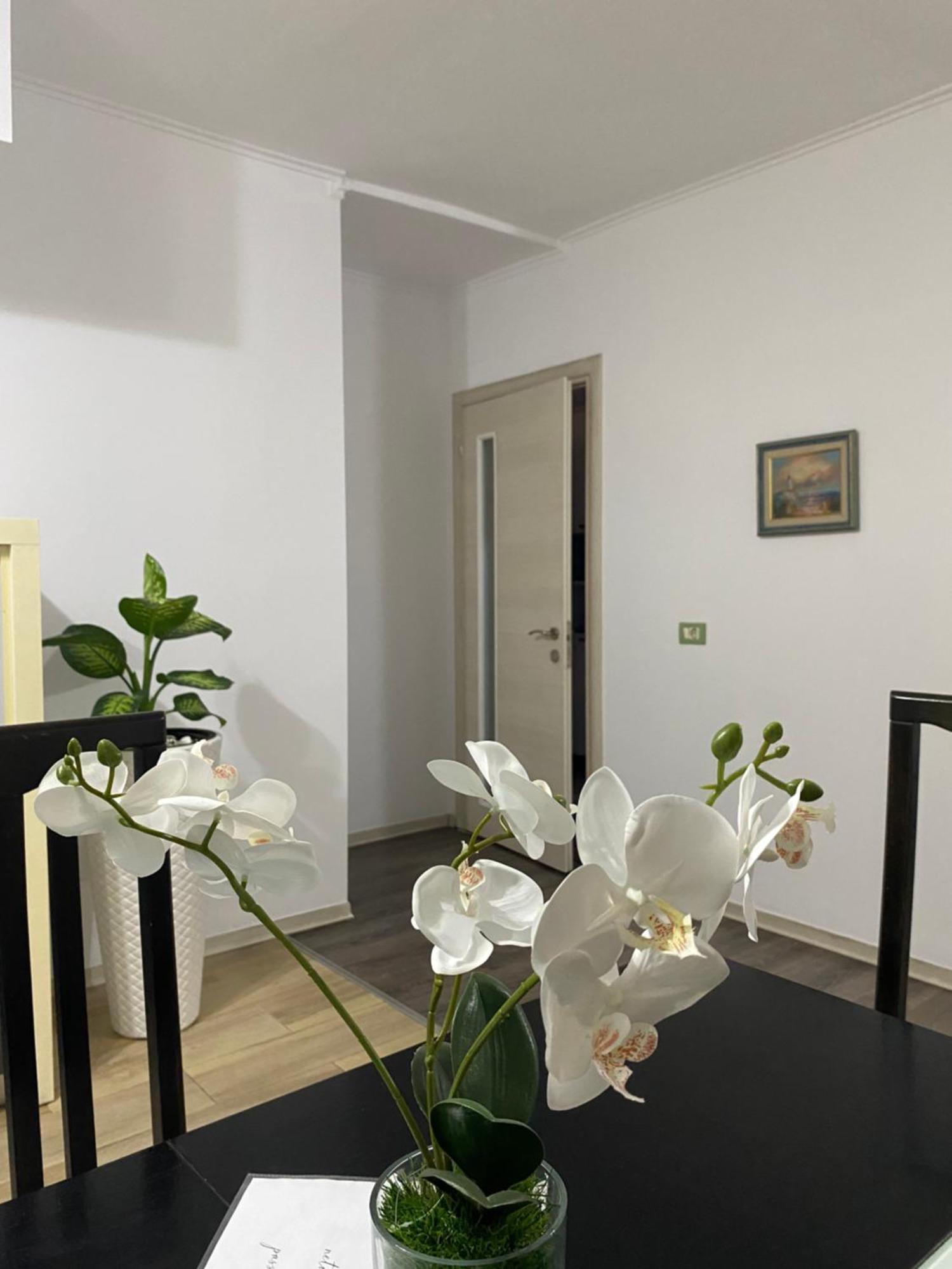 Main Apartment 地拉那 外观 照片